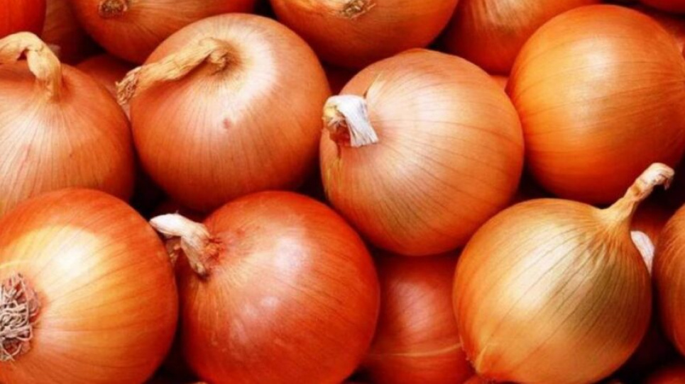 В Україні почала стрімко дешевшати ріпчаста цибуля, в чому причина