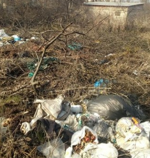 У Львові працівниками ДЕІ виявлено несанкціоновані хаотичні складування відходів (ФОТО)