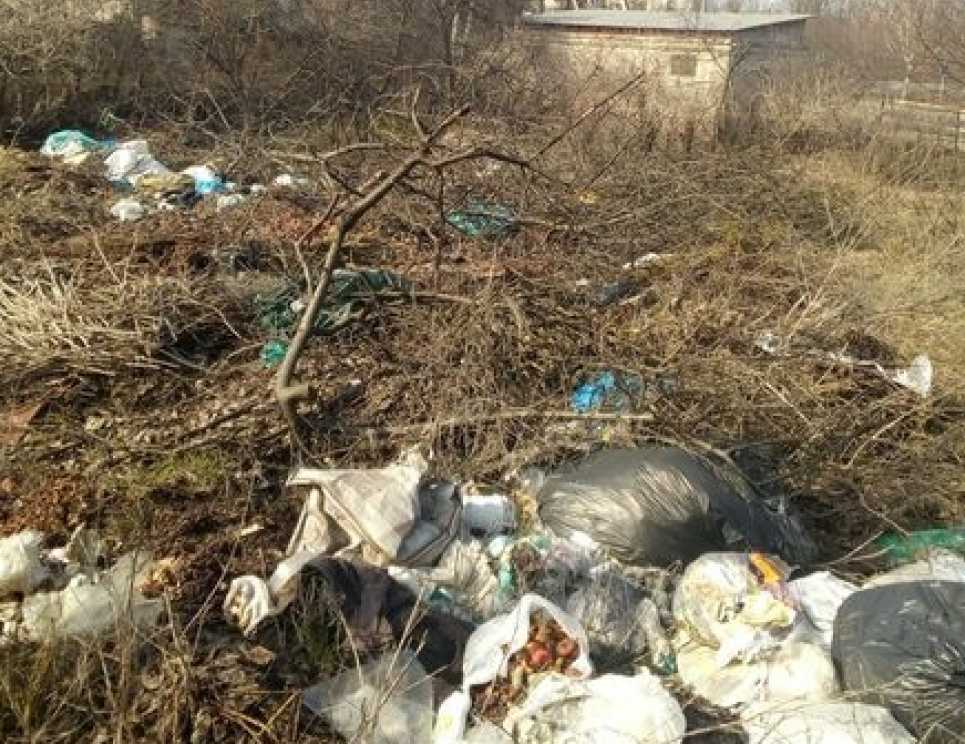 У Львові працівниками ДЕІ виявлено несанкціоновані хаотичні складування відходів (ФОТО)