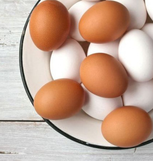 Экспорт яиц в ЕС Продукты питания Торговля агропродукцией