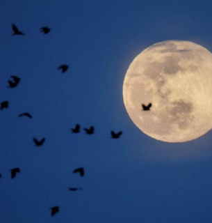 Рожевий супермісяць у квітні 2020 року. Штат Вірджинія (США). Фото: Reuters