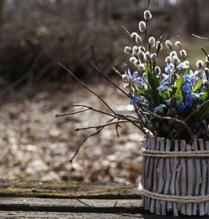 Вербна неділя 2026: традиції, значення та народні обряди в Україні