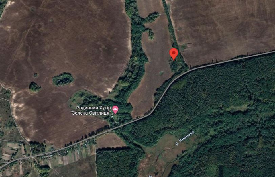 На Чернігівщіні виявили мертвого дикого кабана: людей просять про допомогу