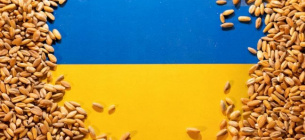 Україна більше не житниця для Африки й Азії — Український клуб аграрного бізнесу Фото ілюстративне