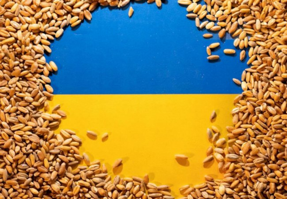 Україна більше не житниця для Африки й Азії — Український клуб аграрного бізнесу Фото ілюстративне