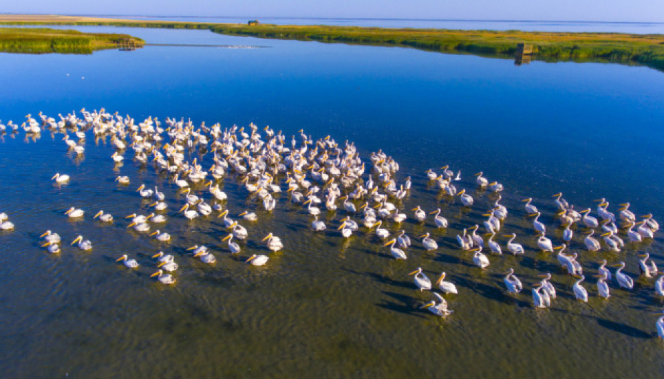 Суд захистив від забудови Нацпарк “Тузлівські лимани” Ілюстративне