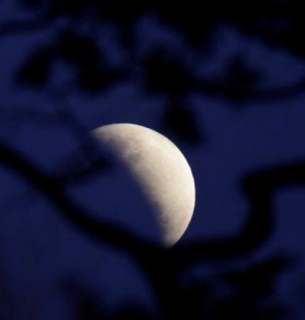 Вовча повня та Супермісяць 2026: коли українцям спостерігати зближення з Юпітером