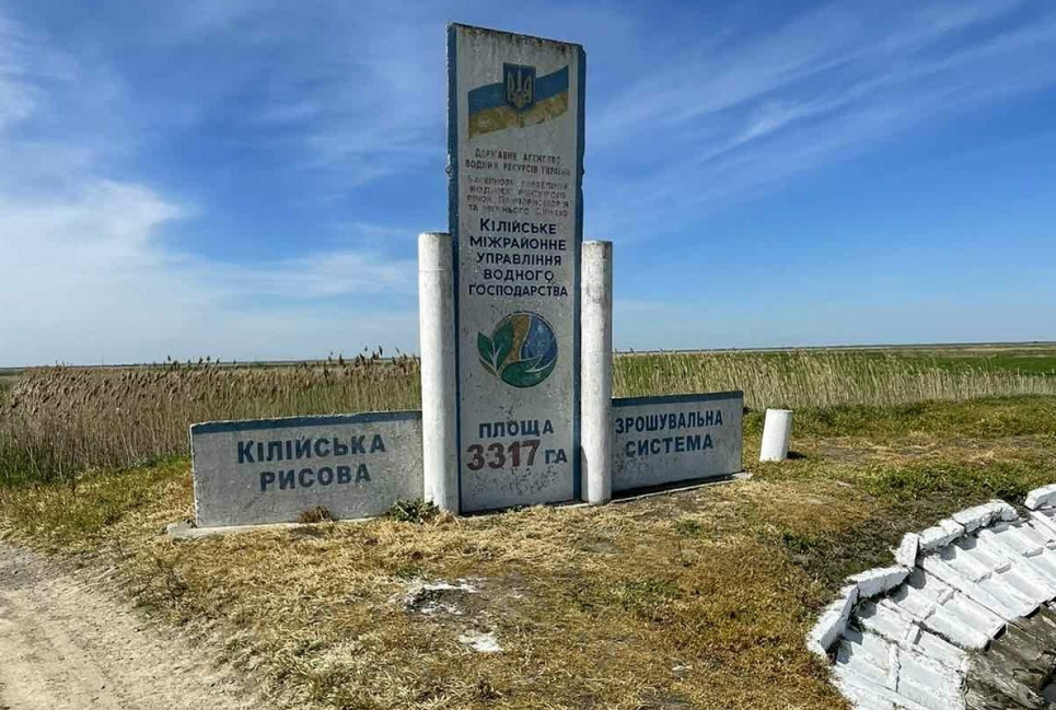 На Одещині почали сіяти рис: чи варто надіятися на гарний врожай