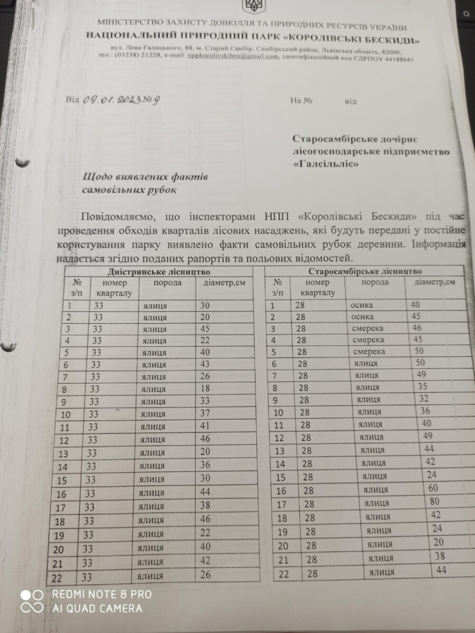 На Львівщині вирубують «Сколівські бескиди»: збитки уже склали 800 млн грн