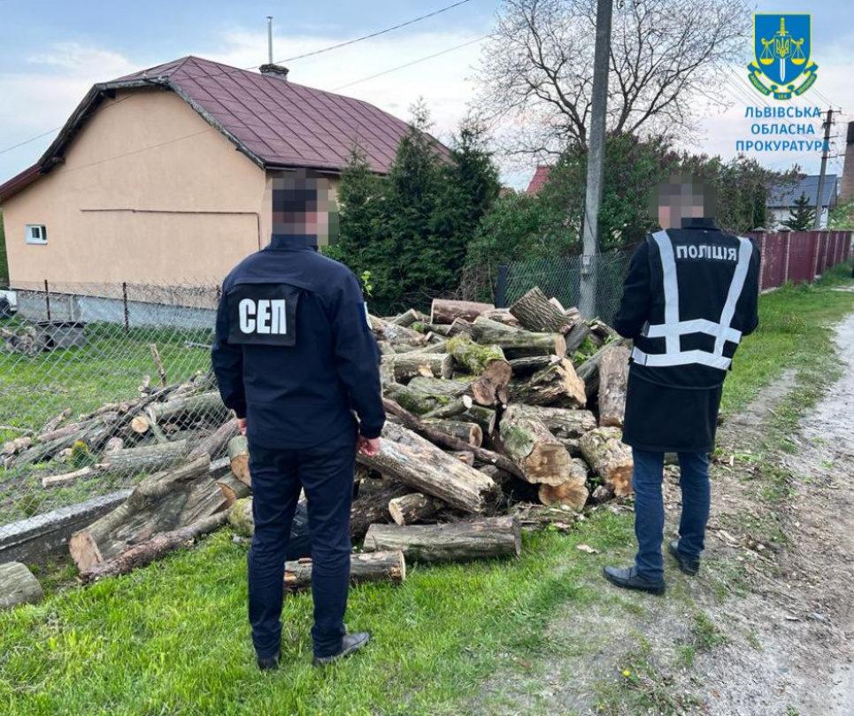 Хабар за безперешкодний відпуск деревини – підозрюють лісника на Львівщині (ФОТО)