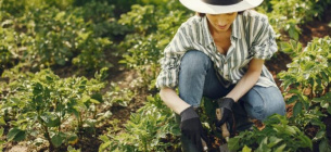 Посівний календар березень 2026 — графік робіт