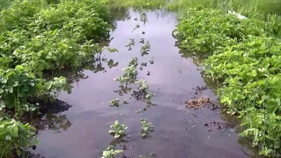 В Укргідрометцентрі повідомили, де найближчими днями очікувати затоплення: оголошено ІІ рівень небезпеки
