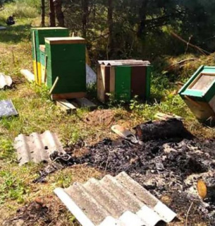 В одеському санаторії імені Чкалова невідомі спалили пасіку приватної компанії (ФОТО)