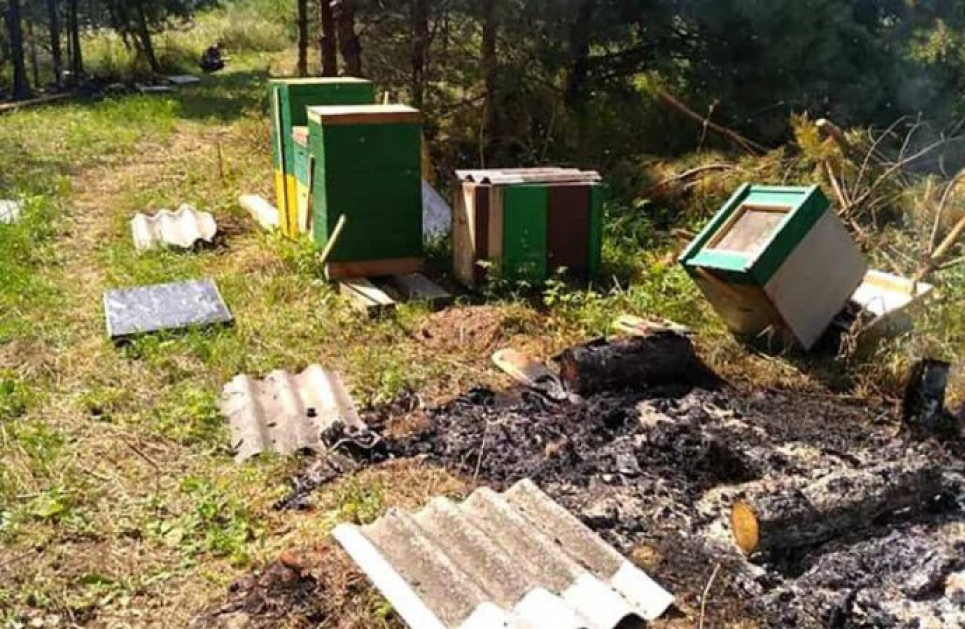 В одеському санаторії імені Чкалова невідомі спалили пасіку приватної компанії (ФОТО)
