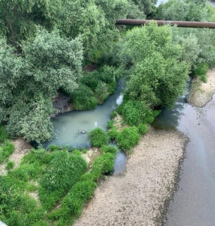 В Ужгороді працівники ДЕІ Закарпаття виявили забруднення річки Уж