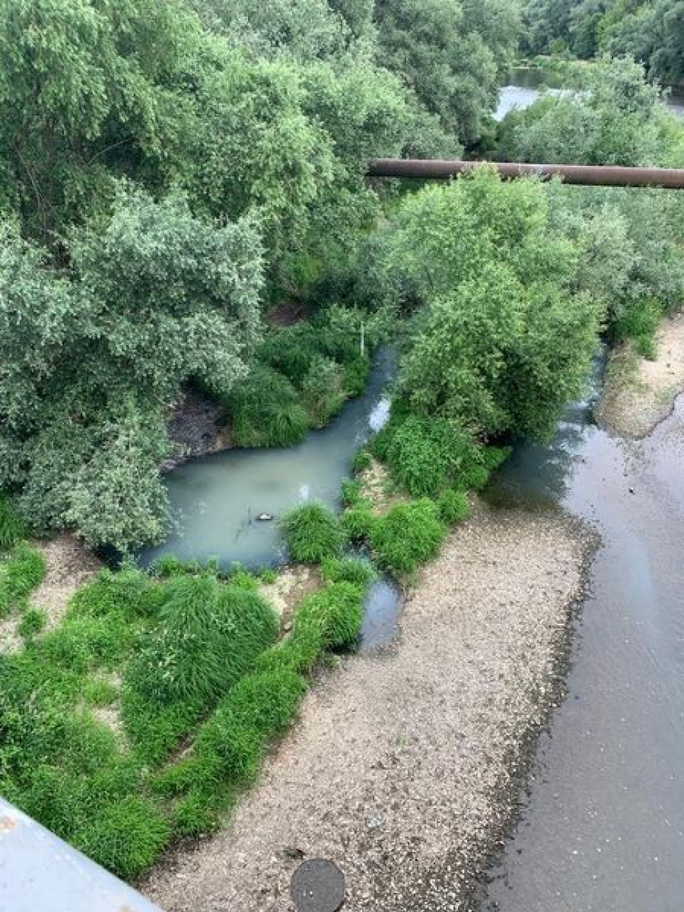В Ужгороді працівники ДЕІ Закарпаття виявили забруднення річки Уж