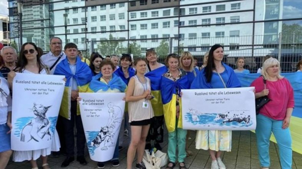 Відома екозахисниця взяла участь в українському мітингу під ООН (ФОТО)