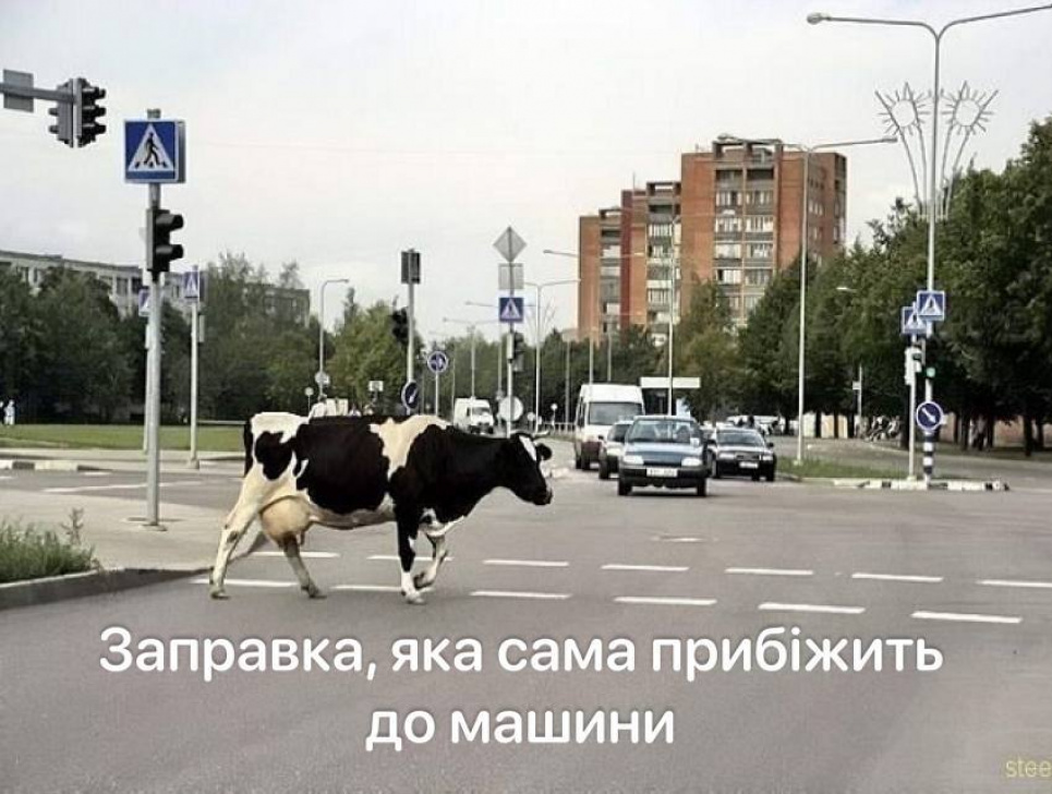 У США автівки заправлятимуть «молоком»