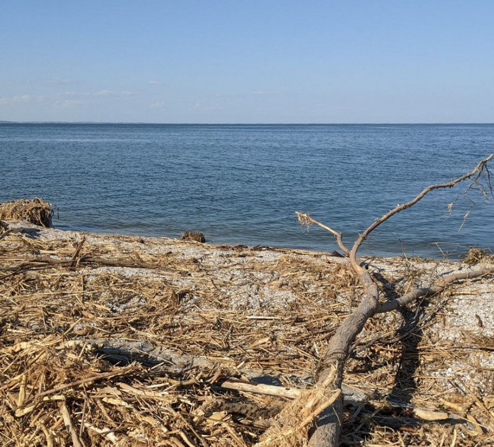 Купатися у морі заборонено – Одеська міська рада
