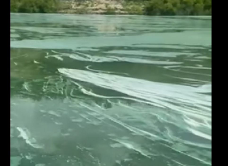На Буковині Дністер вкрився масштабною масною плямою (ВІДЕО)