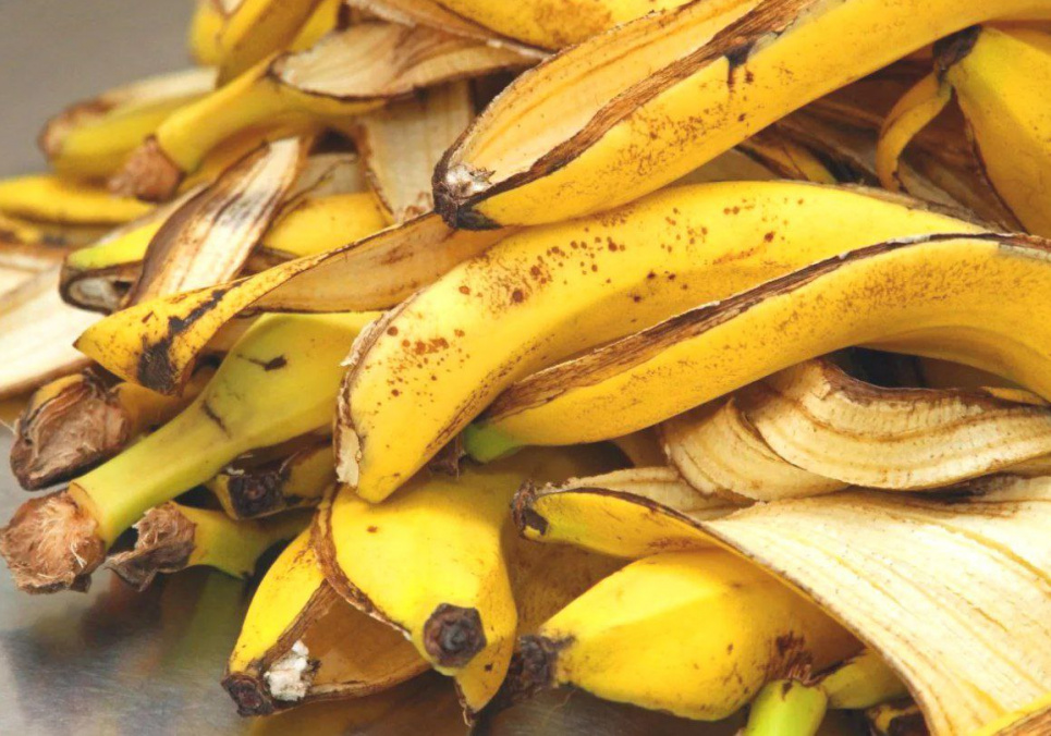 Удобрение из Банановых шкурок Подкормка Подкормка Растение