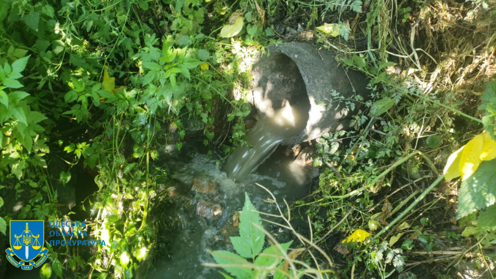 22 га «Французького лісу» на Подільщині забруднено каналізацією – підозрюють ексдиректора комунального підприємства (ФОТО)