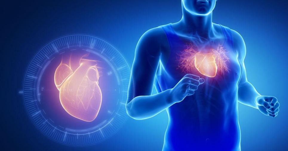 Алгоритм штучного інтелекту передбачив ризик інфаркту міокарда у пацієнтів