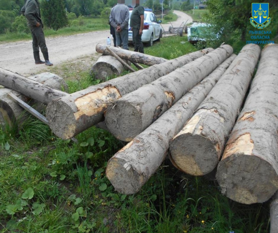 На території природного заповідника «нарубали» дерев на майже 1 млн грн – підозрюють мешканців Львівщини (ФОТО)
