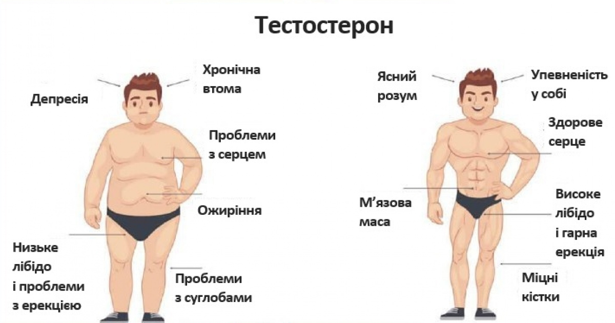 Влияет ли размер. Тестостерон. Тестостерон и ожирение у мужчин. Низкий тестостерон.