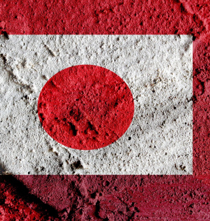 Уряд виділив 1,1 млрд грн японського гранту на розмінування та медицину