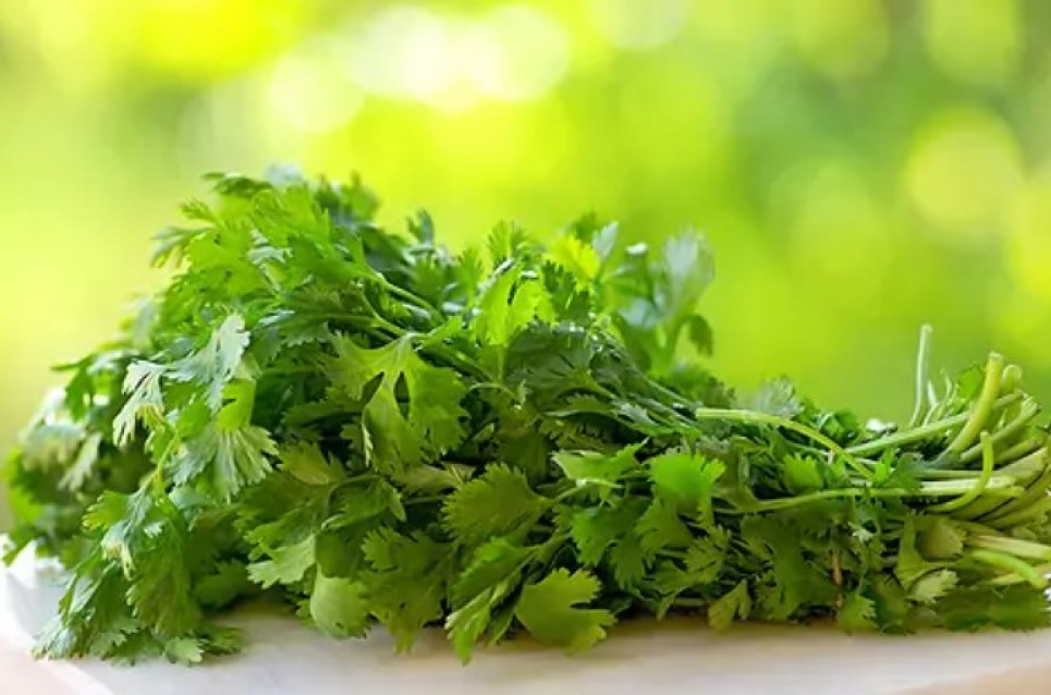Естественный детокс: диетологи назвали продукт, способный выводить тяжелые металлы Назван лучший продукт для выведения тяжелых металлов из организма