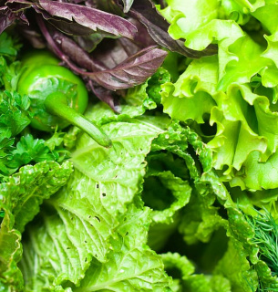 Види продуктів, які найчастіше містять паразитів