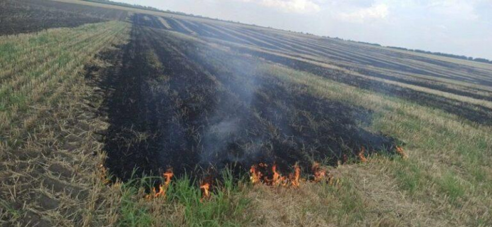 Через кинутий недопалок на Одещині згоріло два гектари земельних угідь (ФОТО)