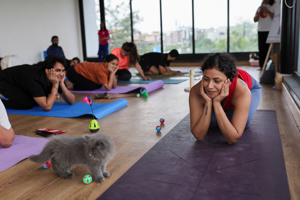 Сурбхі Сачдєва, тренер з йоги, спостерігає за кошенятами під час сеансу The Paw Hour («Година лапи») у Нью-Делі, Індія, 6 серпня 2023 року. Фото: Reuters