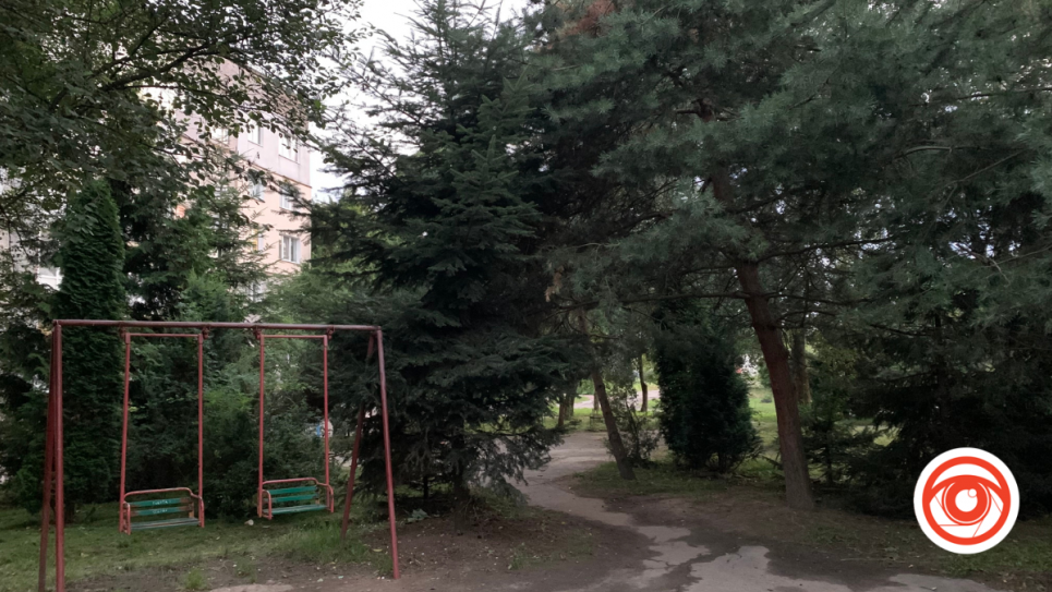 У Калуші мешканці поскаржилися на сусіда, бо він посадив багато дерев перед будинком
