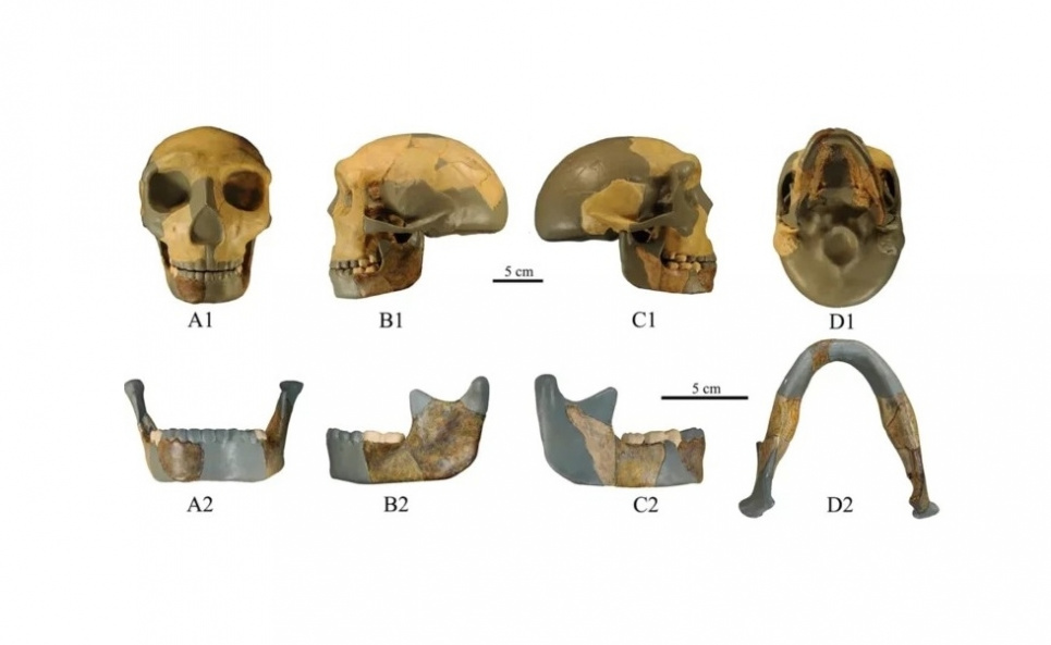 HLD 6. Ілюстрація: Xiujie Wu / National Research Center on Human Evolution