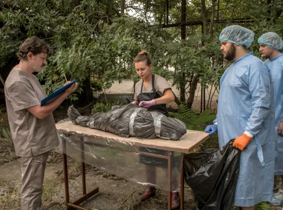Зоологи в Україні досліджують мертвих морських свиней і дельфінів, щоб отримати докази того, що це військовий злочин. Фото: LAURA BOUSHNAK / NYT