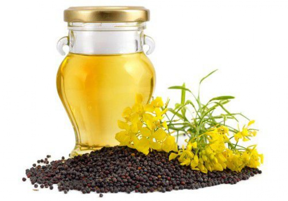 Україна може встановити новий рекорд виробництва ріпаку