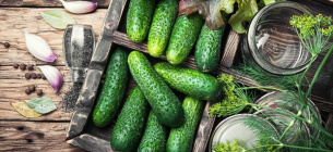 Огірки Корисні овочі Харчування 