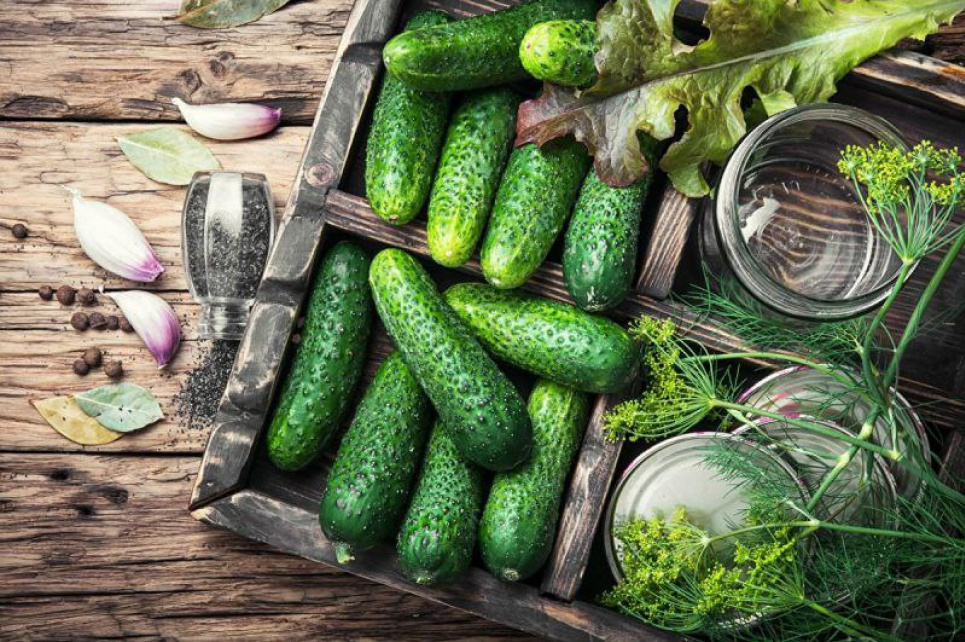 Огірки, мариновані з лимоном - оригінальний рецепт закуски Огірки, мариновані з лимоном
