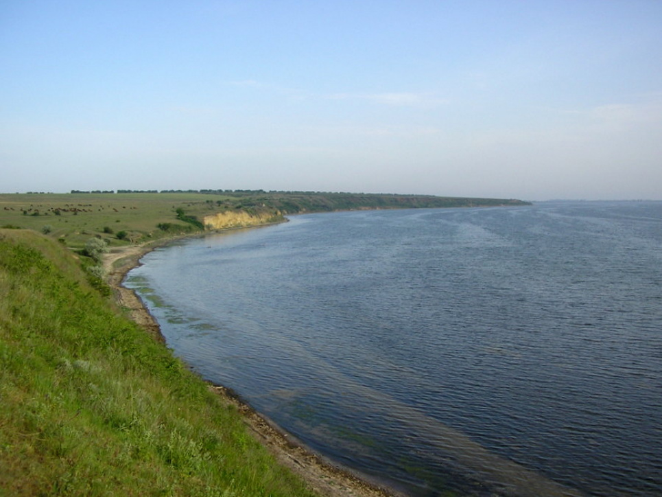 Екологи з’ясували причини замору риби у Тилігульському лимані