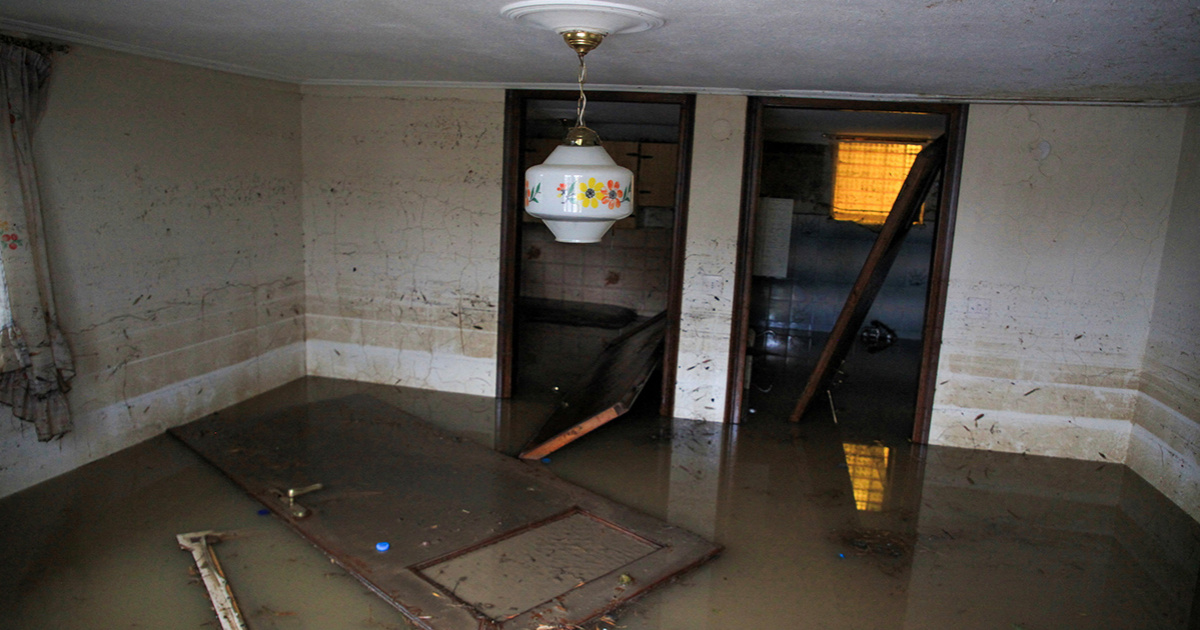 Что делать, когда вас затопили | затопили квартиру как действовать ...