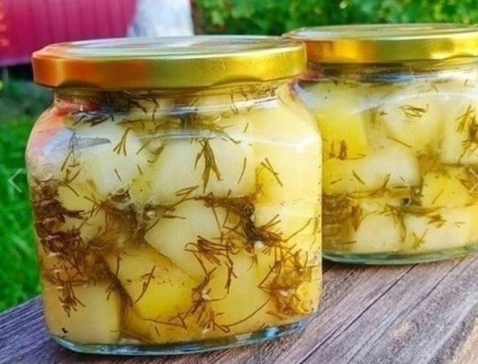 Рецепт приготовления маринованных кабачков, которые по вкусу не отличить от грибов Рецепт приготовления Маринованных кабачков Вкусный рецепт