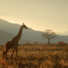 Фото: PxHere