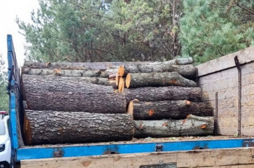 Поліцейські на Житомирщині зупинили ЗІЛ із 150 колодами деревини
