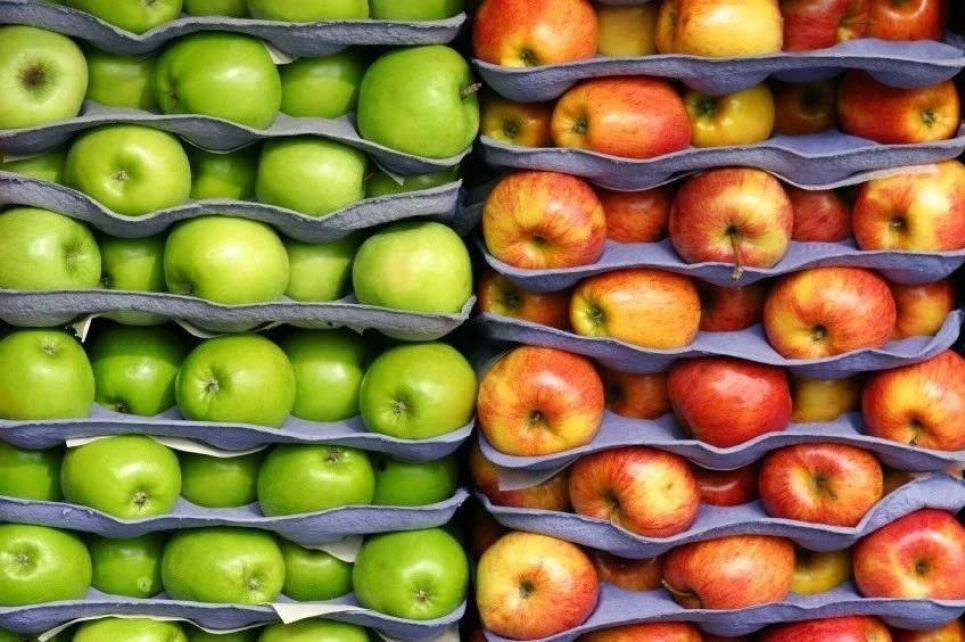 Досвідчені дачники діляться хитрощами зберігання яблук