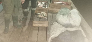 На озері Ялпуг зафіксували незаконний вилов риби 