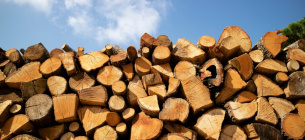 Ціна на дрова не зросте