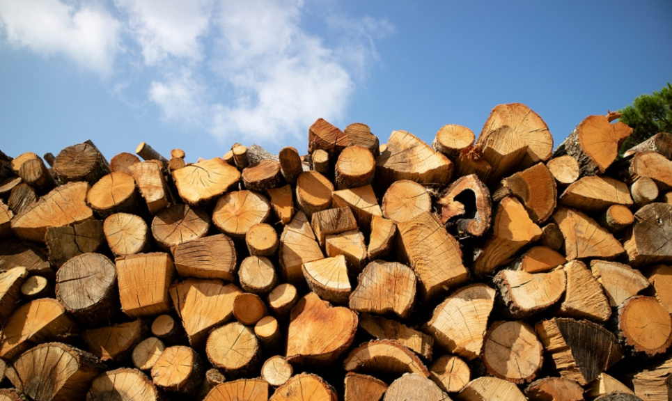 Ціна на дрова не зросте