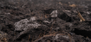 Неналежне зберігання пестицидів на Тернопільщині: хімікати лежать просто неба та отруюють землю